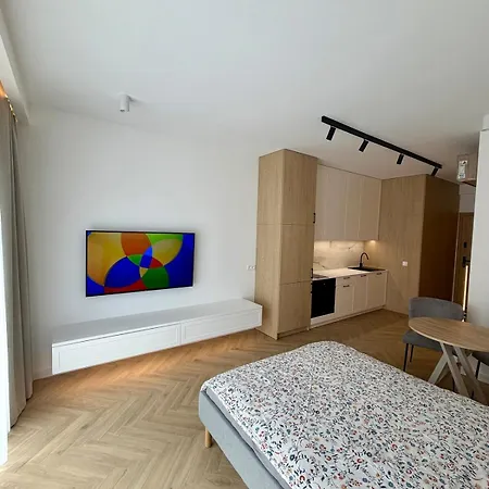 Premium With Balcony Air Conditioning And Garage In Катовице