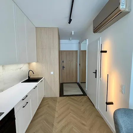 Premium With Balcony Air Conditioning And Garage In *